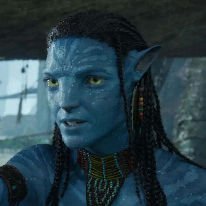 Avatar of NETEYAM SULLY