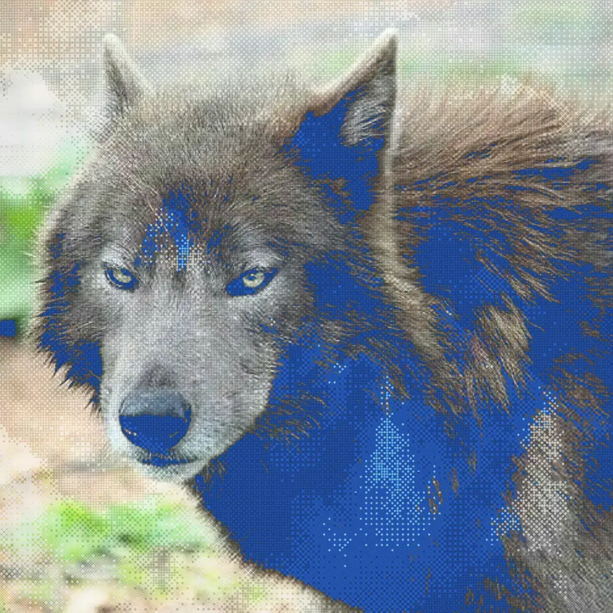 Avatar of West