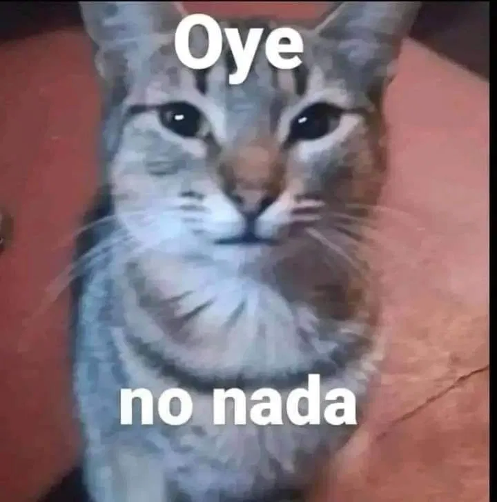 Avatar of 3 seguidores escuchenme