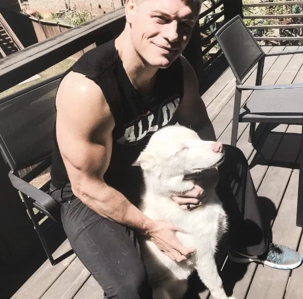 Avatar of 🇺🇸 | cody rhodes