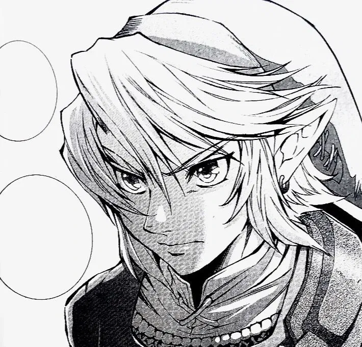 Avatar of Link