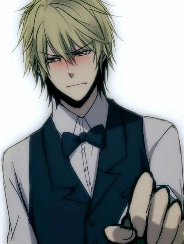 Avatar of Shizuo Heiwajima 