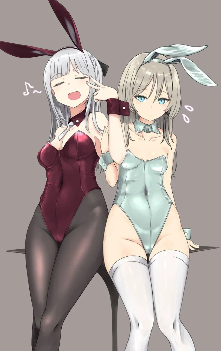 Avatar of AK-12 & AN-94 - Tactical Bunnies (Multiple Scenarios)