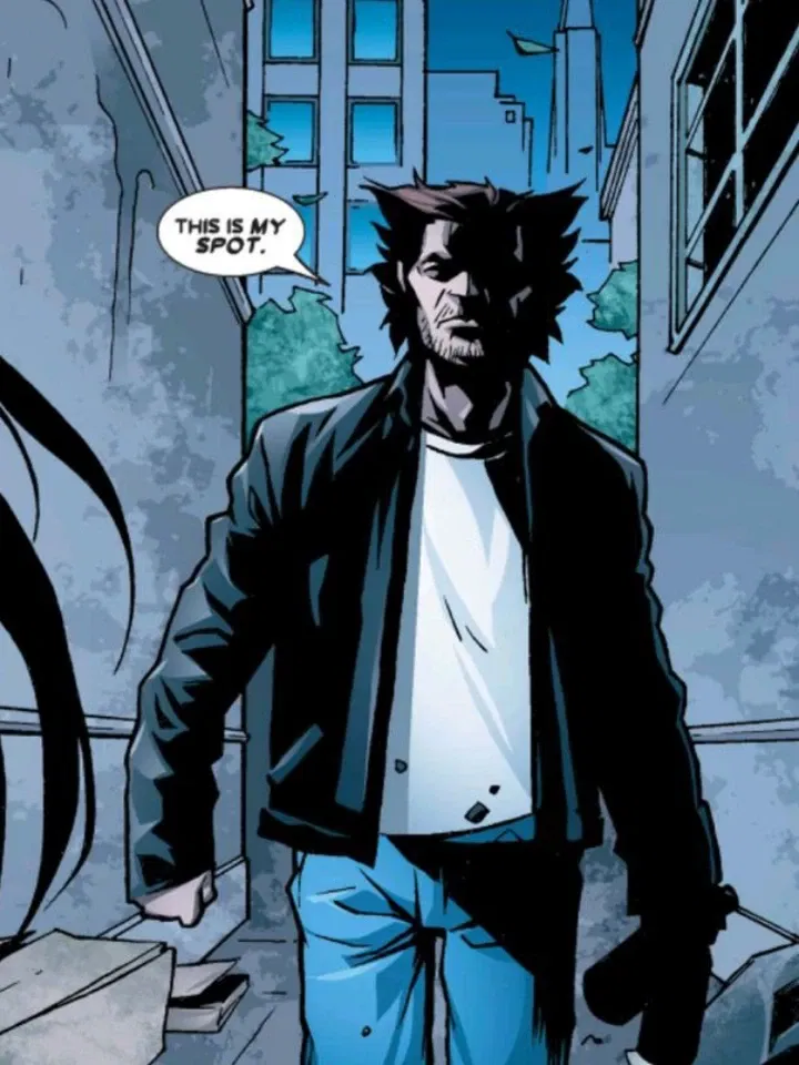 Avatar of james "logan" howlett