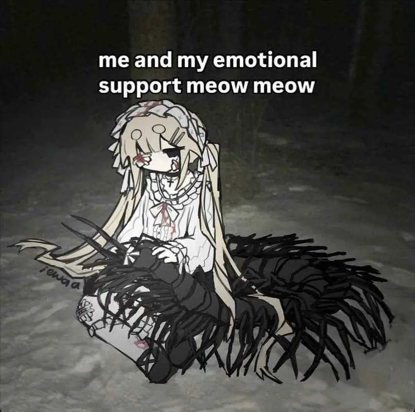 Avatar of Your Emotional Support Meow Meow