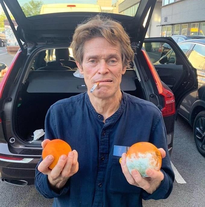 Avatar of William Dafoe holding oranges and one is moldy