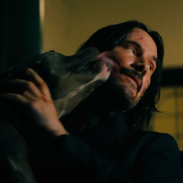 Avatar of john wick