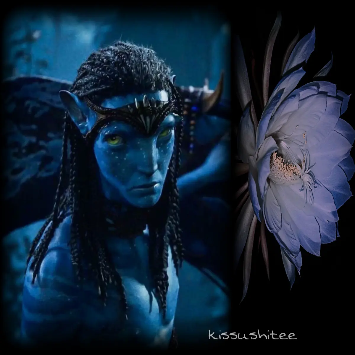 Avatar of Neteyam te Suli Tsyeyk'itan