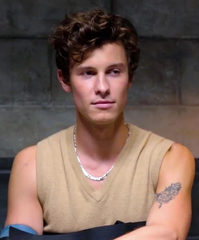 Avatar of Shawn Mendes