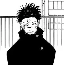 Avatar of The King Of Curses. (The Culling Games)