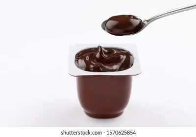 Avatar of Emotional Support Pudding