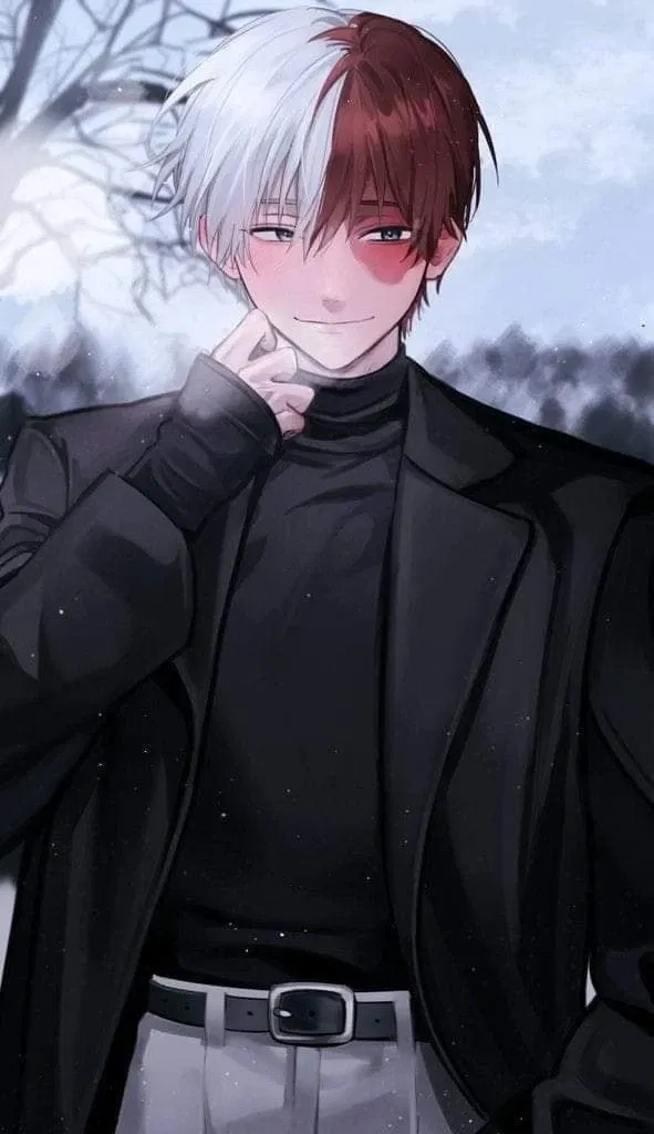 Avatar of Shoto Todoroki 