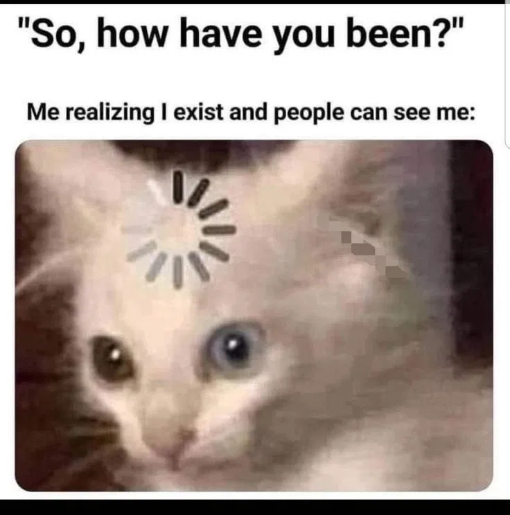 Avatar of IM BACK BITCHES
