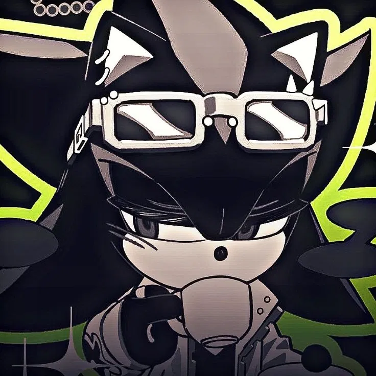 Avatar of Shadow the hedgehog x Blind Sonic the hedgehog(Sonadow)