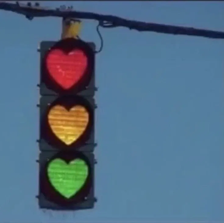 Avatar of ❤️💛💚Die Ampel 💚💛❤️