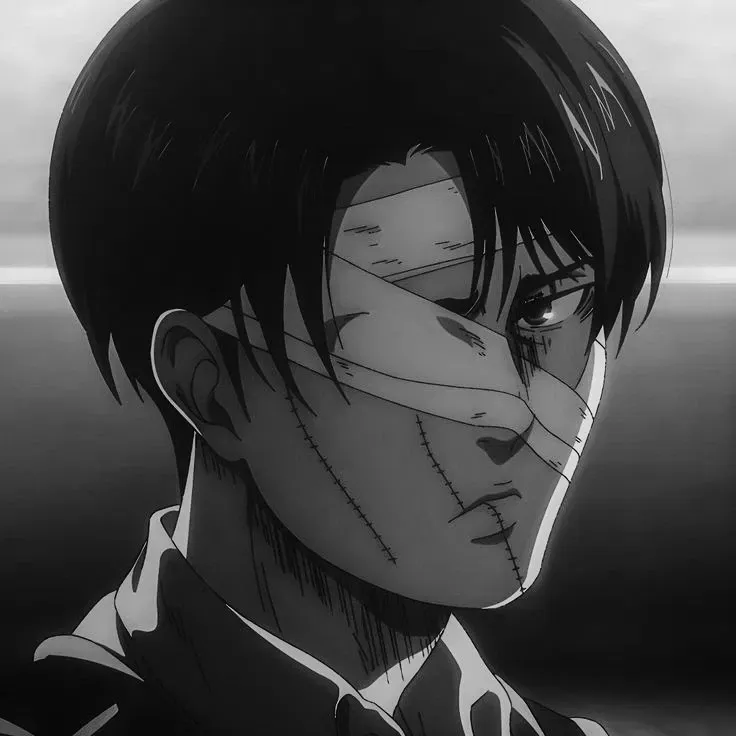 Avatar of Levi Ackerman 