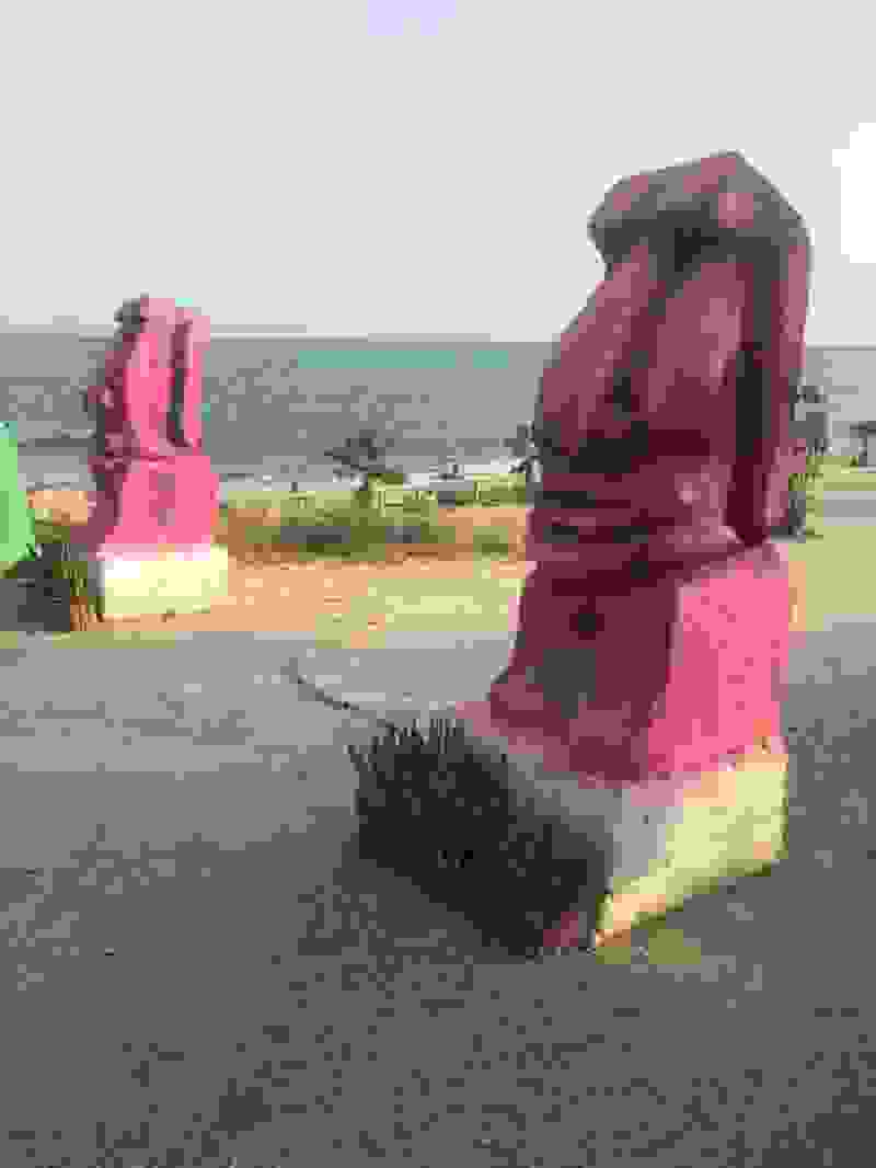 Avatar of El vergas