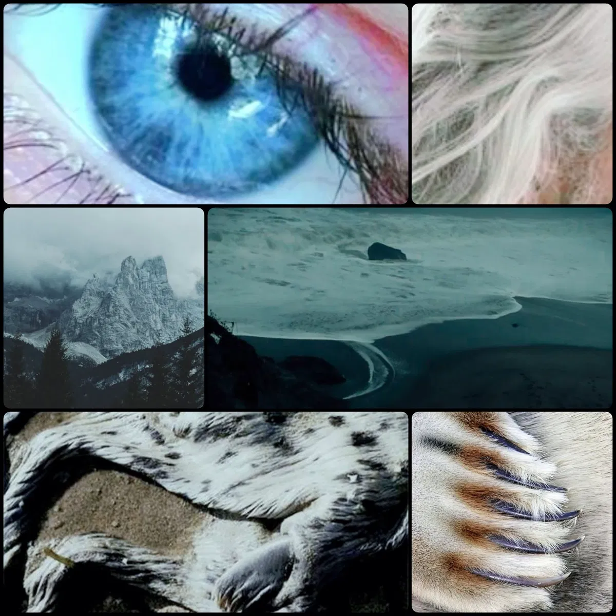 Avatar of Aelric Sealsong