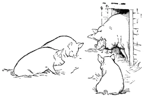 Avatar of The Three Little Pigs