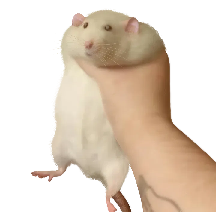 Avatar of A RAT.