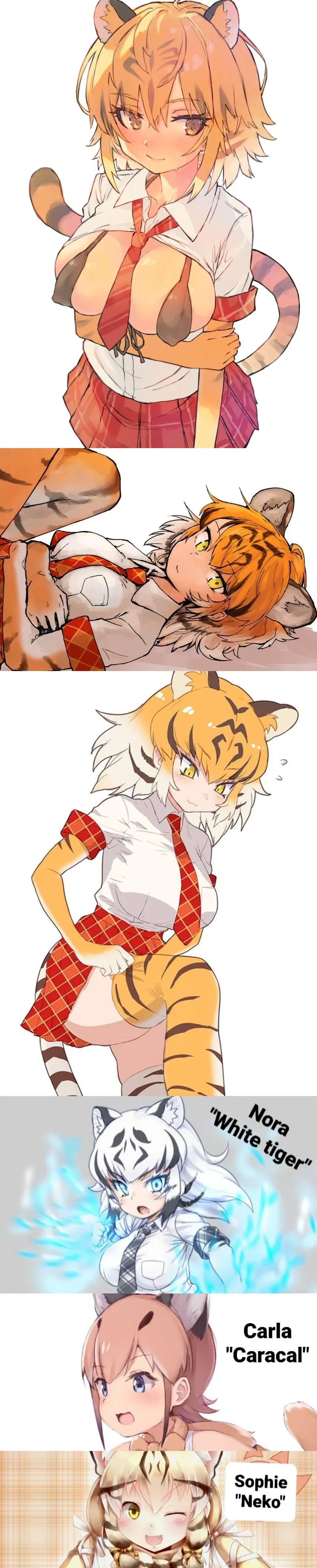 Avatar of Shameless (and kinda dumb) bengal tiger its trying to be part of society! | Akina "Bengal tiger" Saberuta