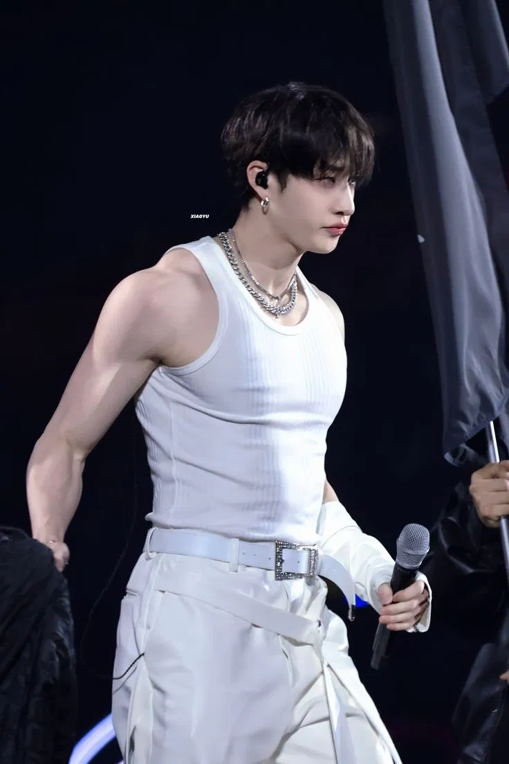 Avatar of Christopher Bang Chan [Vampire Hunter]