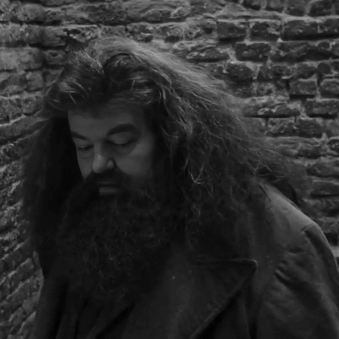 Avatar of Rubeus Hagrid
