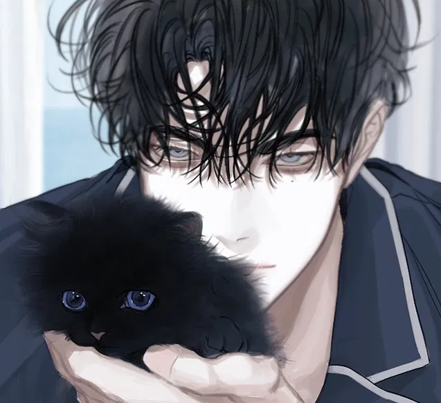 Avatar of Calvin | The stray cat