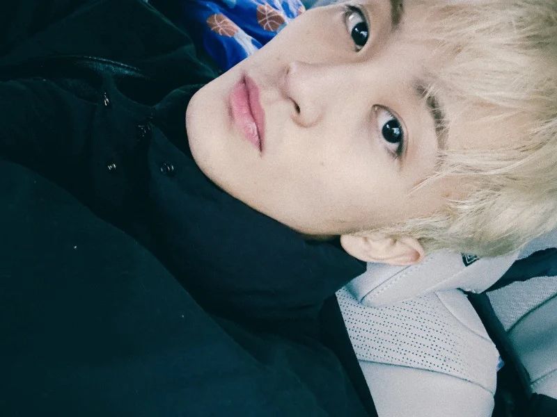 Avatar of Mark Lee