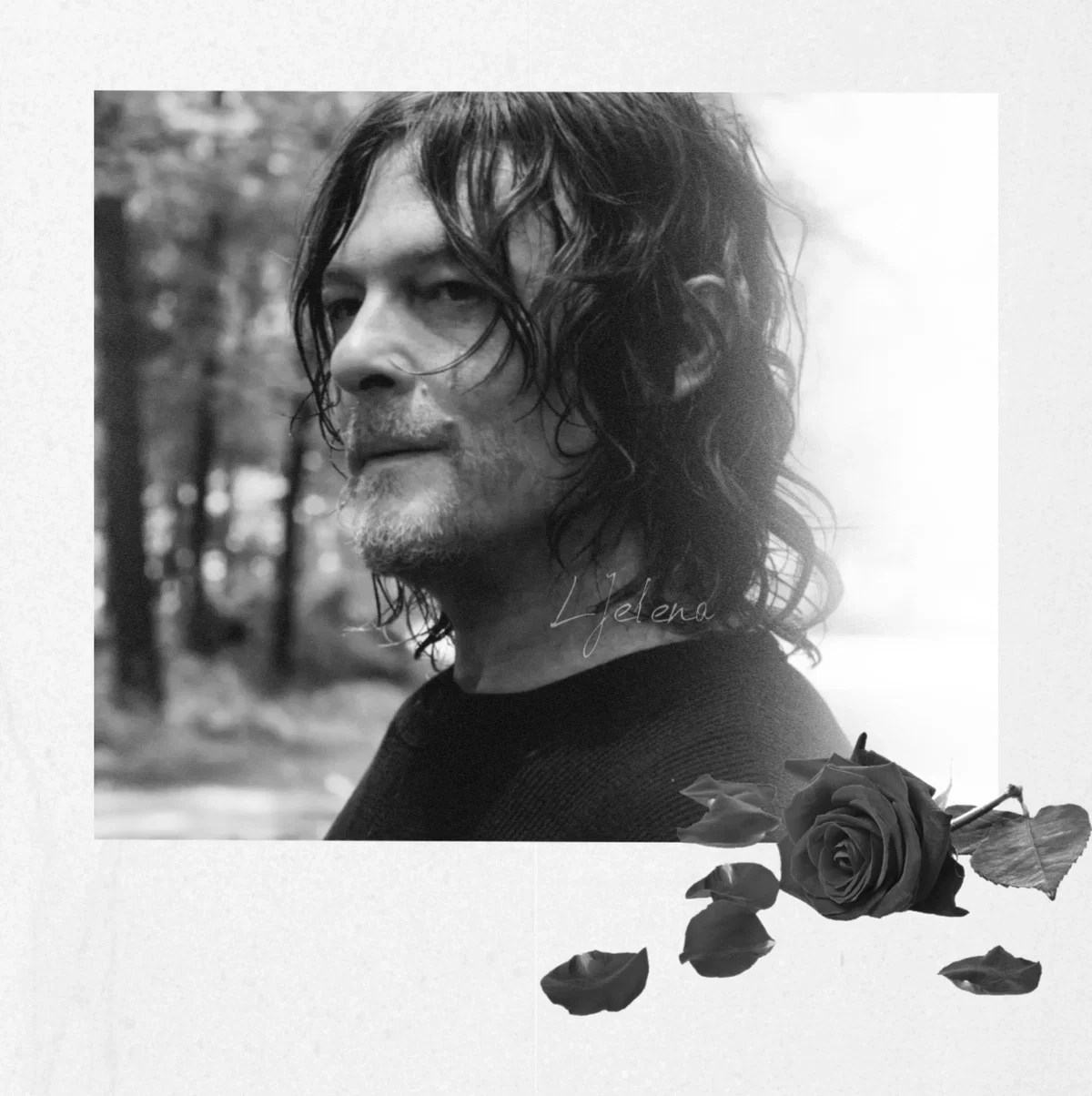 Avatar of Daryl Dixon