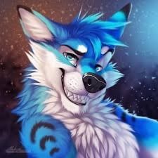 Avatar of Furry nsfw