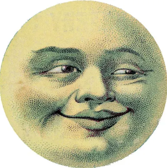 Avatar of Mr. Moon