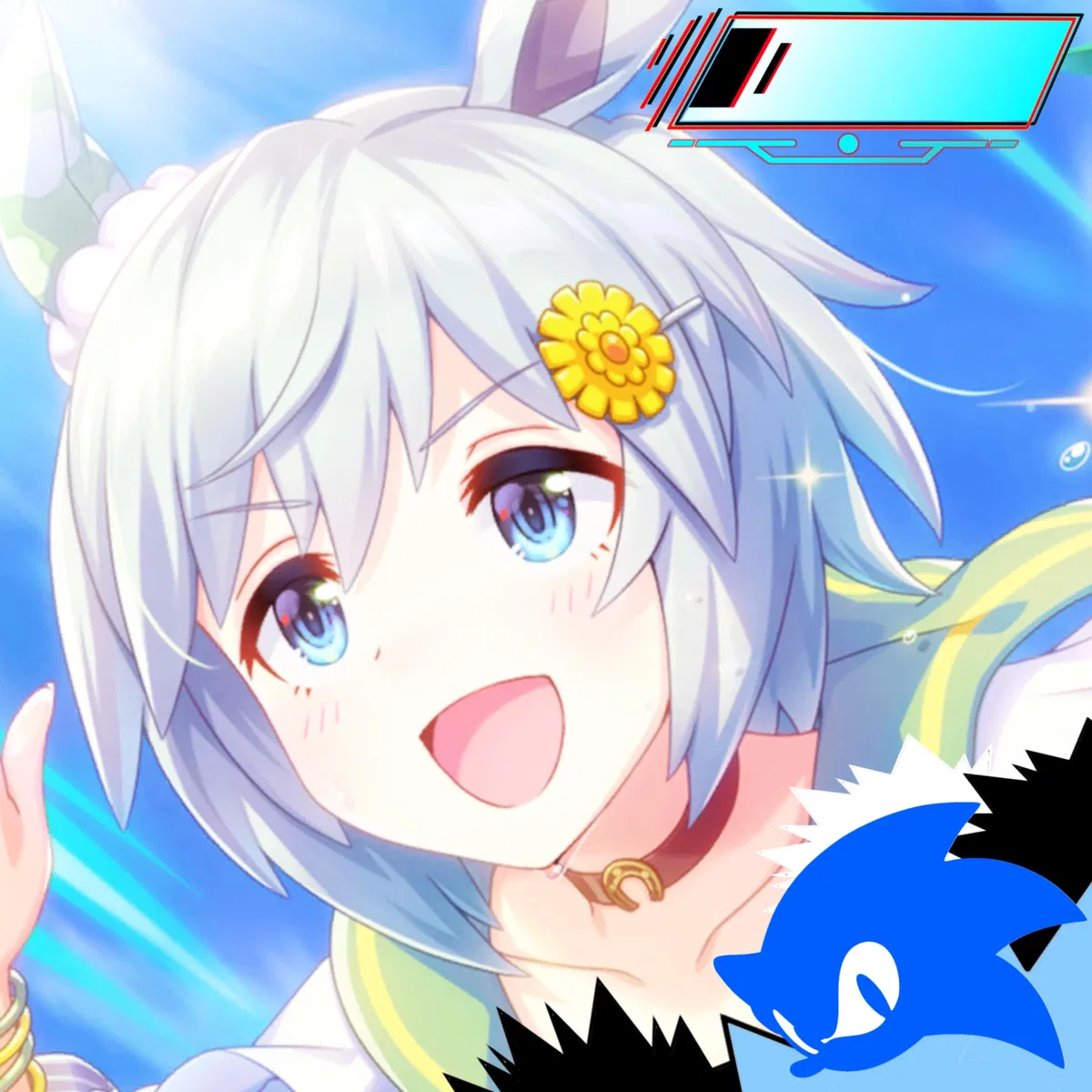 Avatar of Seiun Sky | The Trickster