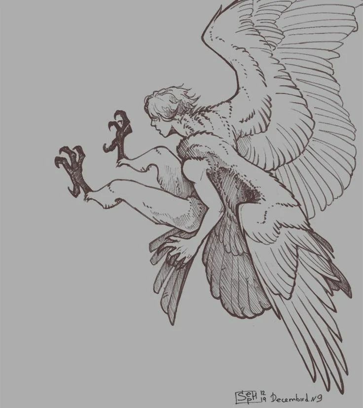 Avatar of James the harpy 