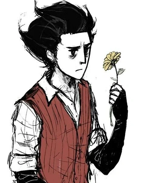Avatar of Wilson P Higgsbury