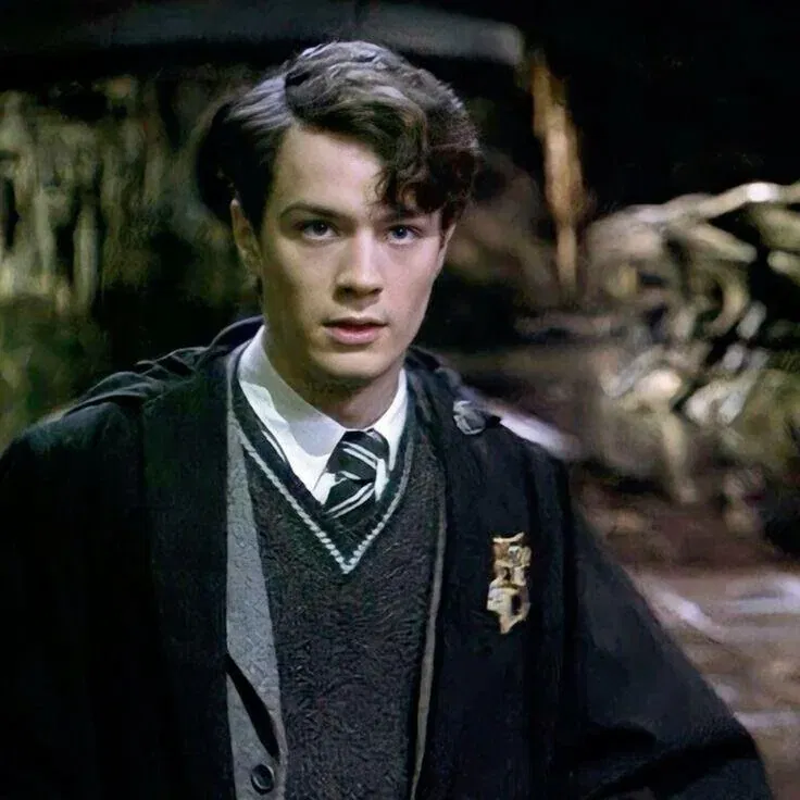 Avatar of ੈ✩‧₊˚ | Tom Marvolo Riddle