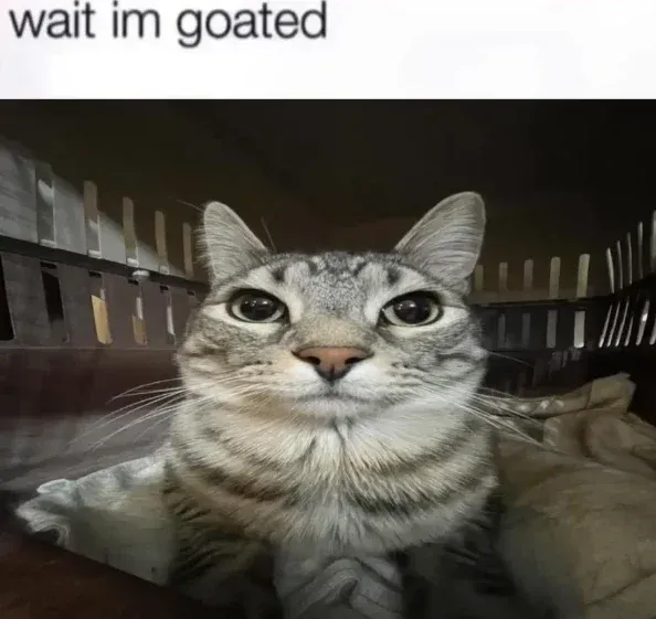 Avatar of The Goated cat 