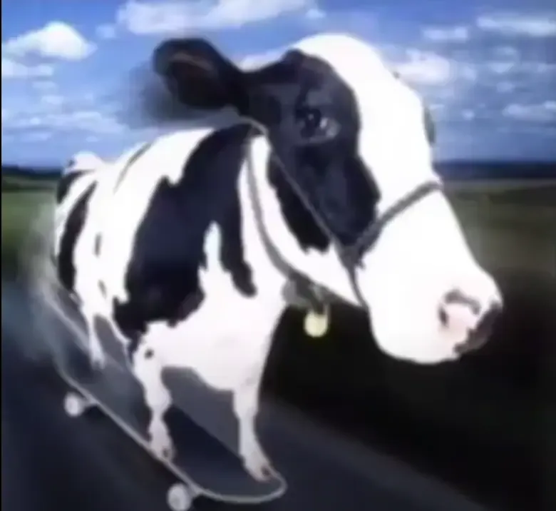 Avatar of lilly the cow