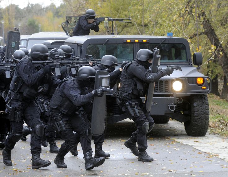 Avatar of Swat Team