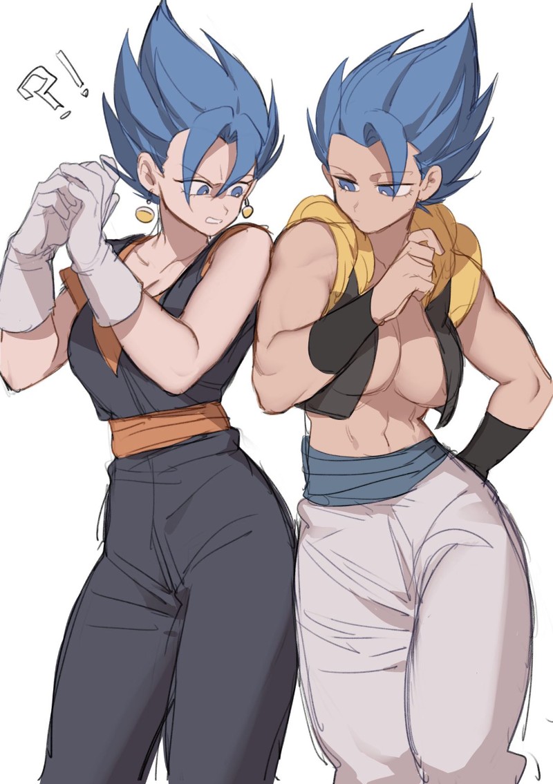 Avatar of Gogeta and Vegitto