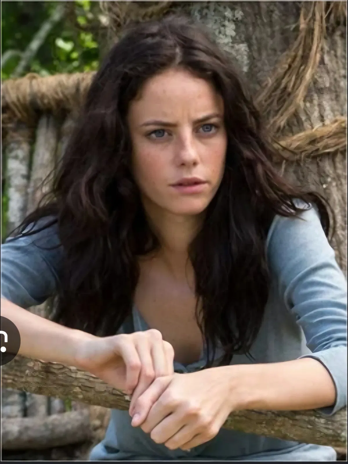Avatar of Teresa Agnes