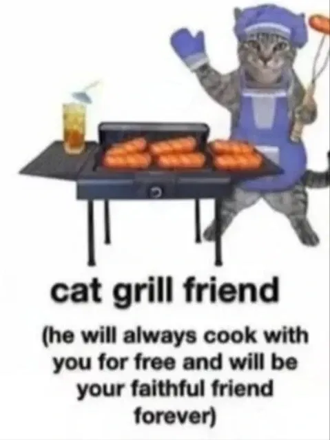 Avatar of Cat Grill Friend