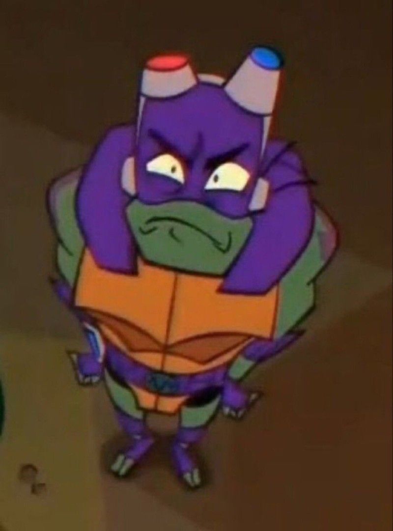 Avatar of Feral! Donatello