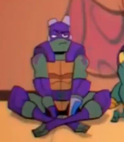 Avatar of Yan Prince! Donatello