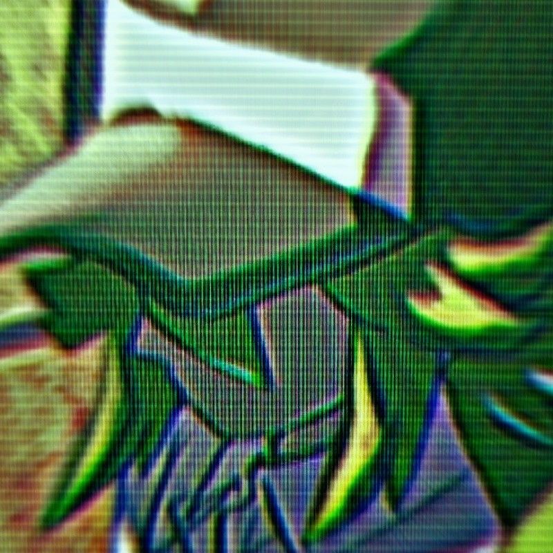 Avatar of N - Natural Harmonia 