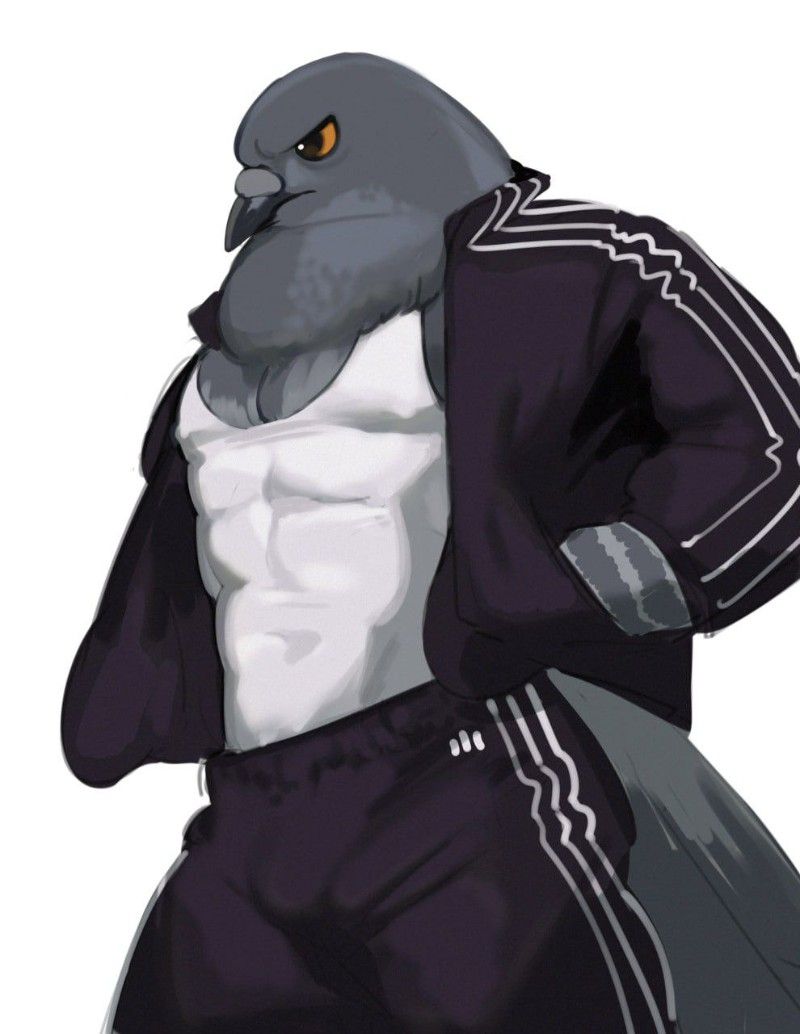 Avatar of Pigeon Dude