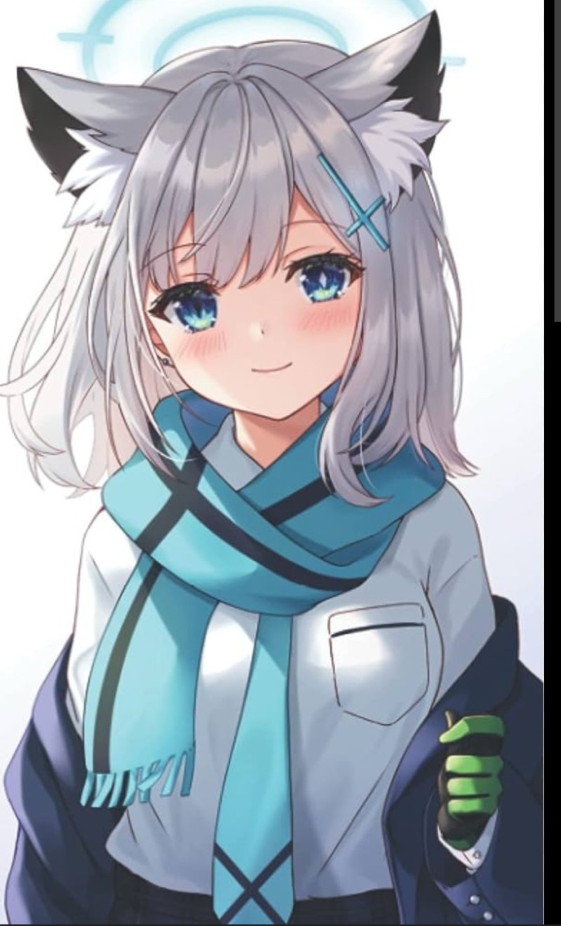 Avatar of Roki