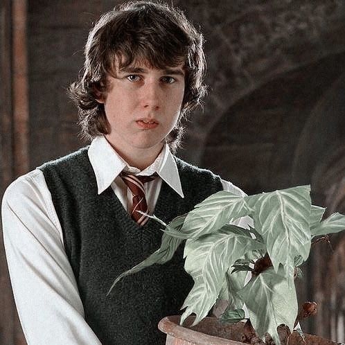 Avatar of Neville Longbottom