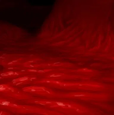 Avatar of Lilith the Eldritch Flesh