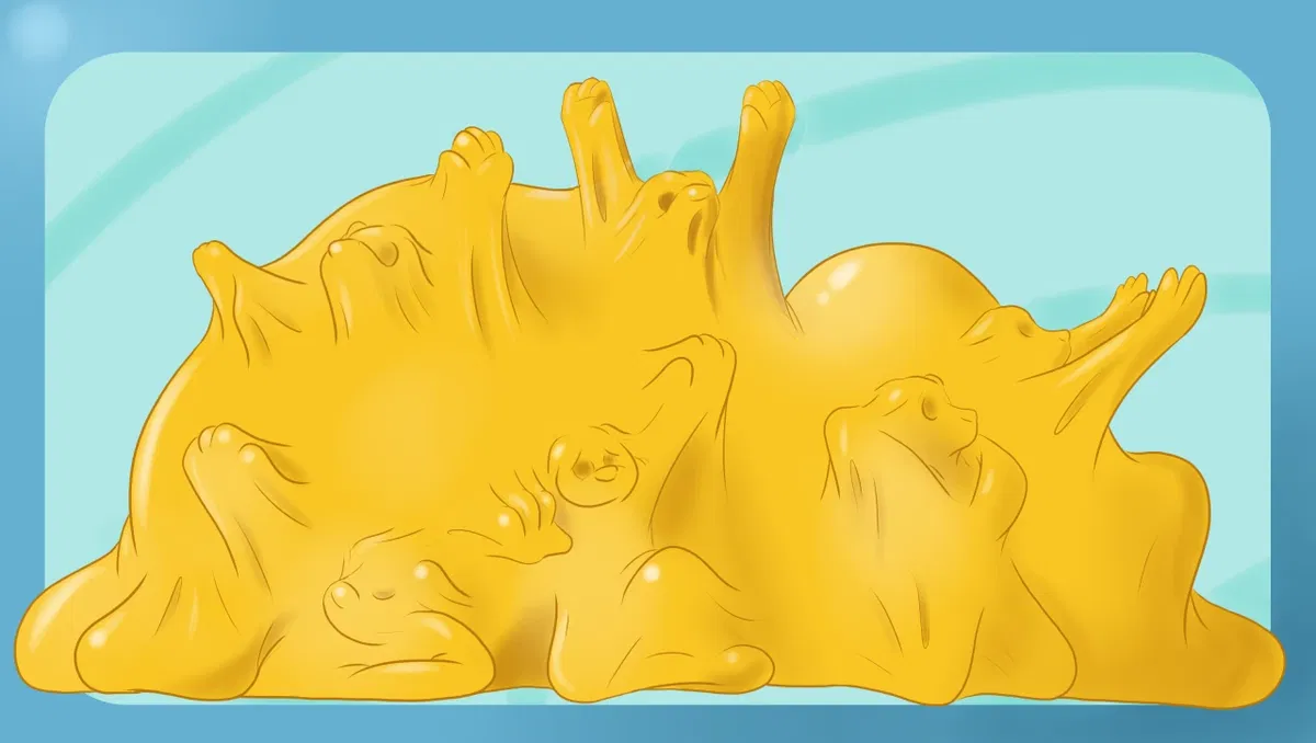 Avatar of Clingy Yellow Slime